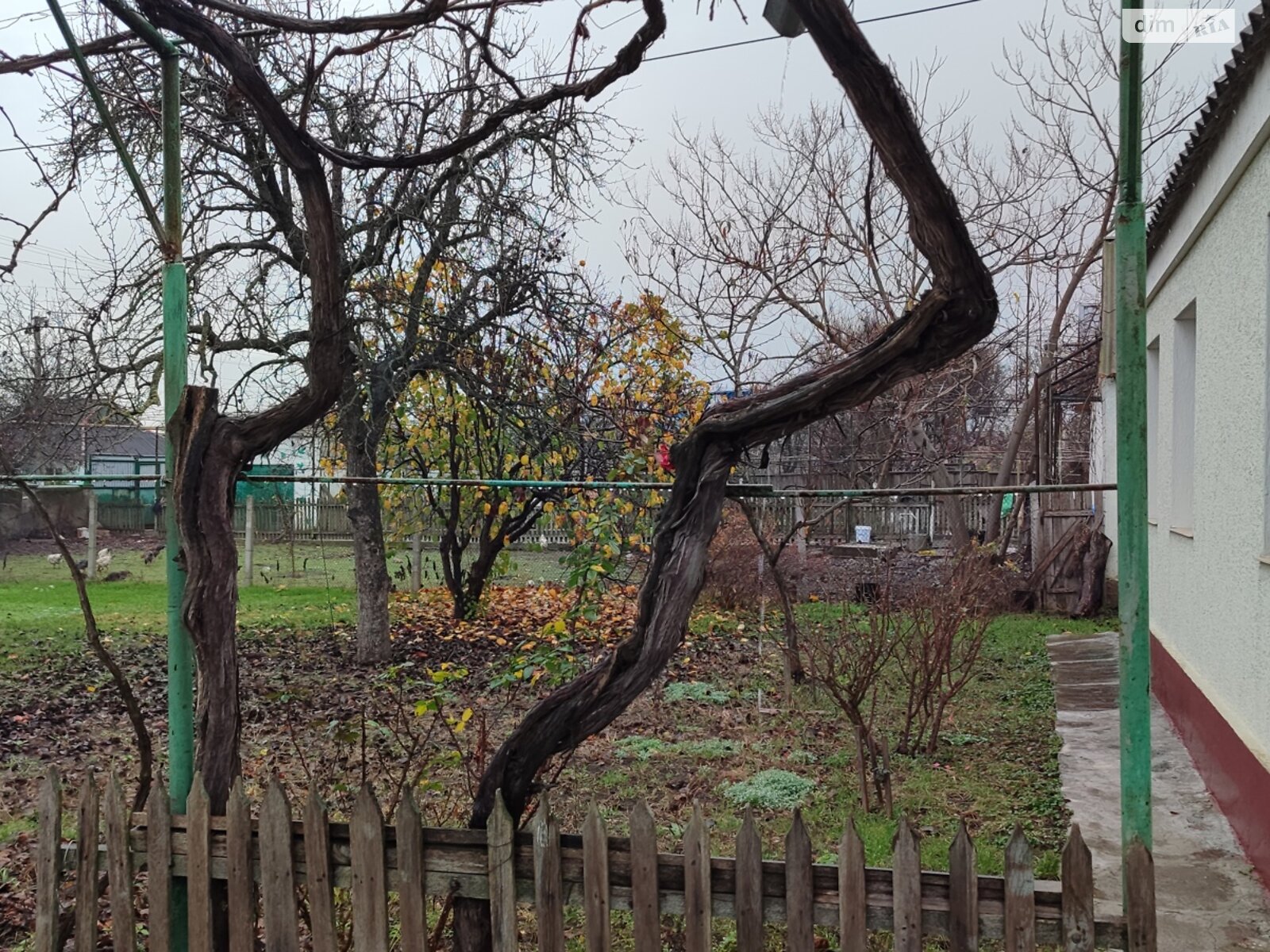 одноэтажный дом с верандой, 126 кв. м, ракушечник (ракушняк). Продажа в Прилиманском фото 1 одноэтажный дом с верандой, 126 кв. м, ракушечник (ракушняк). Продажа в Прилиманском фото 1