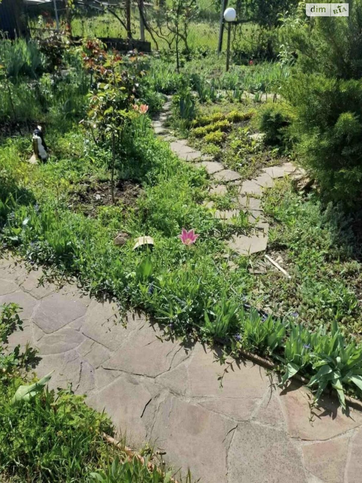 четырехэтажный дом, 200 кв. м, кирпич. Продажа в Прилиманском фото 1