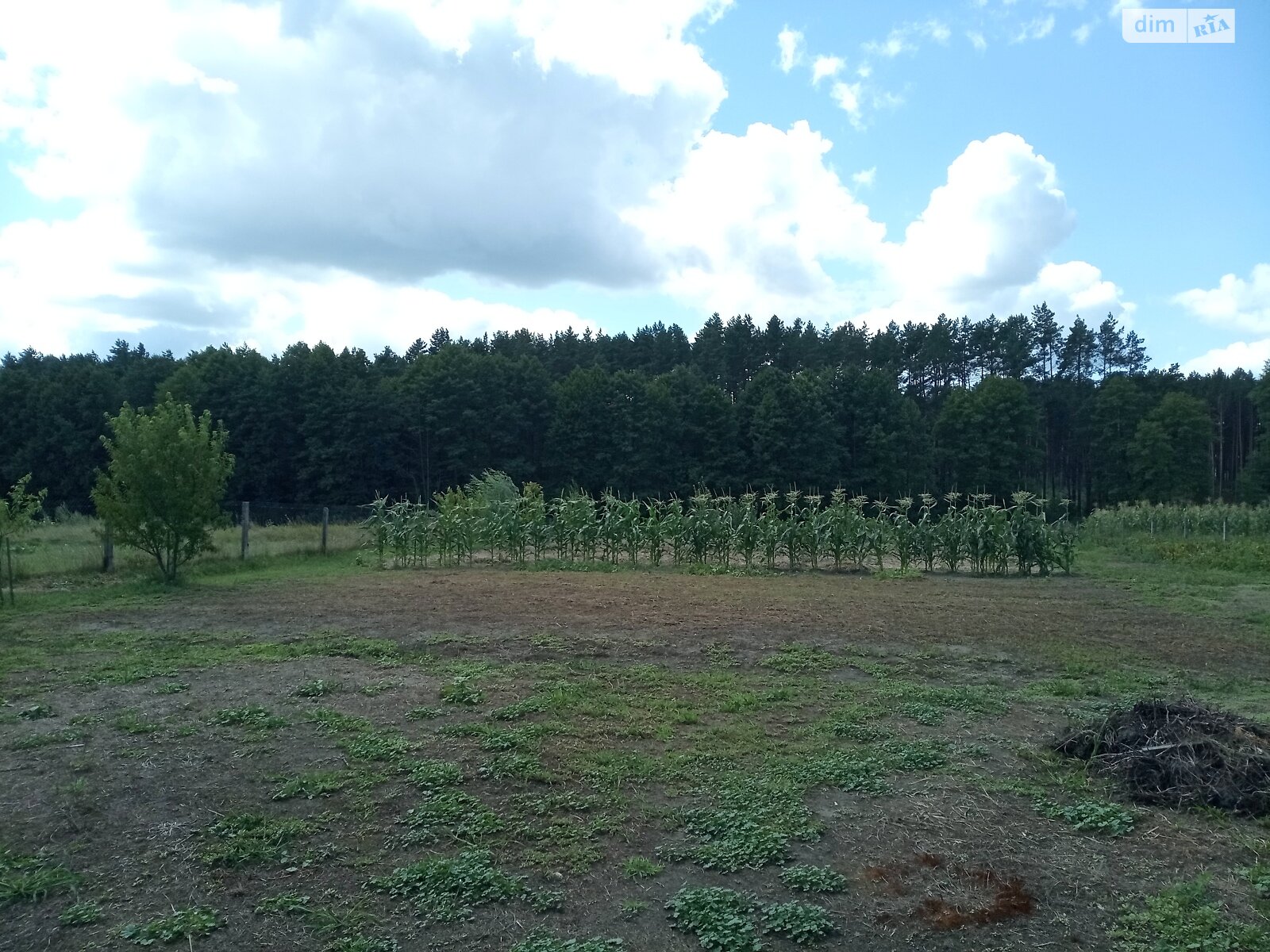 одноповерховий будинок, 78.1 кв. м, цегла. Продаж у Пристороні фото 1 одноповерховий будинок, 78.1 кв. м, цегла. Продаж у Пристороні фото 1