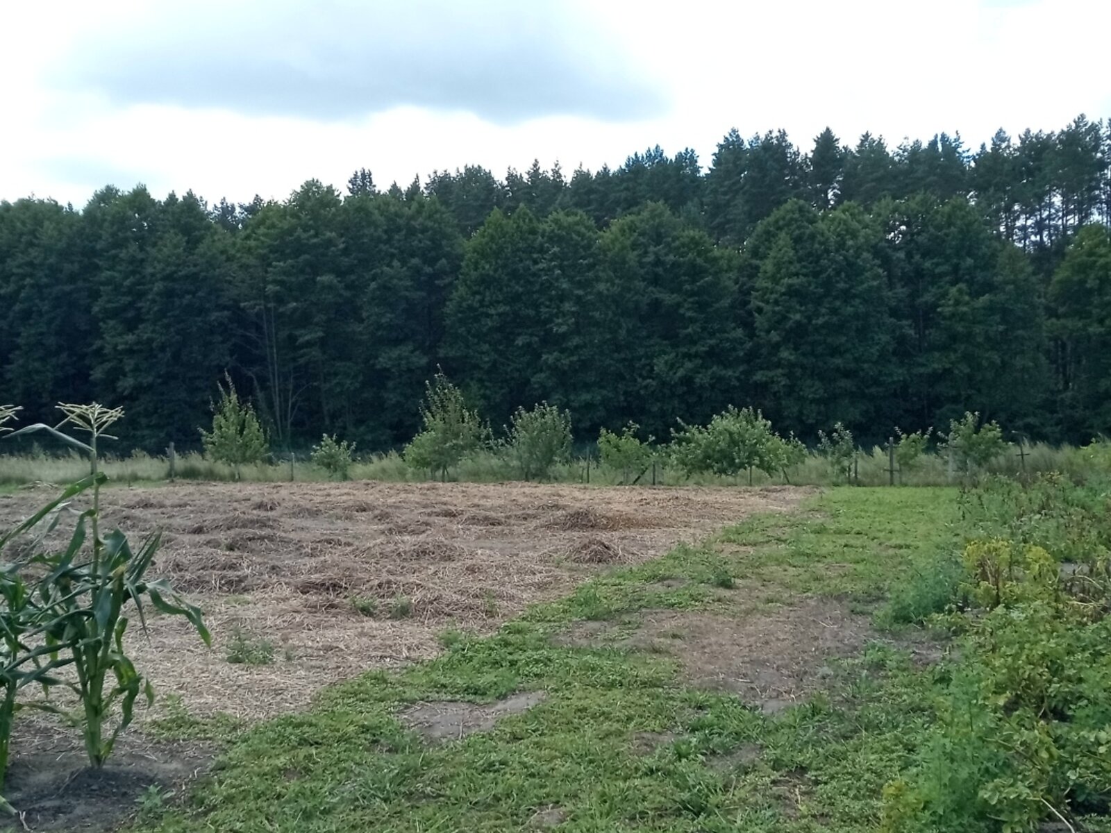 одноповерховий будинок, 78.1 кв. м, цегла. Продаж у Пристороні фото 1 одноповерховий будинок, 78.1 кв. м, цегла. Продаж у Пристороні фото 1