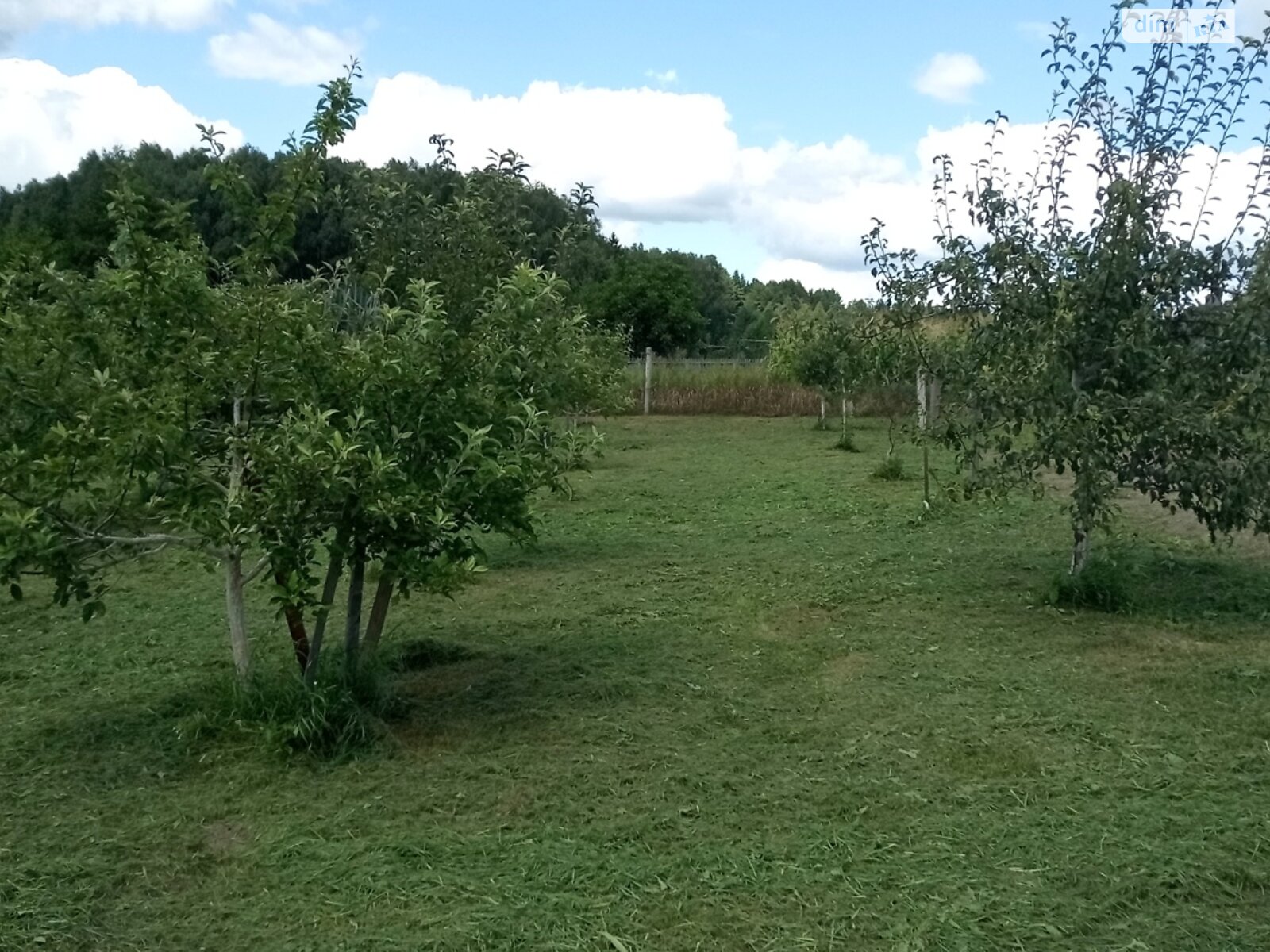 одноповерховий будинок, 78.1 кв. м, цегла. Продаж у Пристороні фото 1 одноповерховий будинок, 78.1 кв. м, цегла. Продаж у Пристороні фото 1