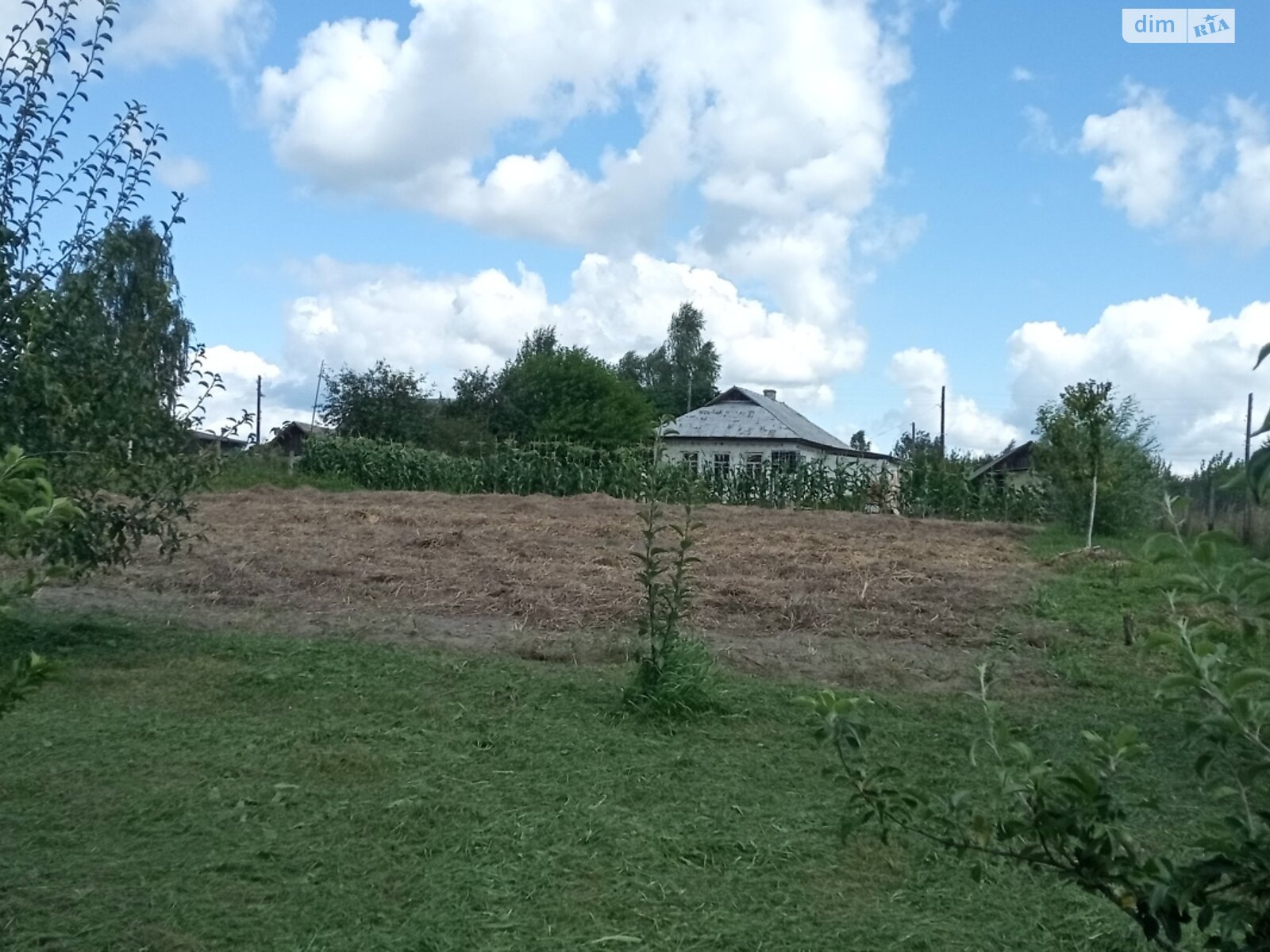 одноповерховий будинок, 78.1 кв. м, цегла. Продаж у Пристороні фото 1 одноповерховий будинок, 78.1 кв. м, цегла. Продаж у Пристороні фото 1