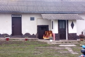 одноповерховий будинок з гаражем, 100 кв. м, цегла. Продаж у Пробіжній фото 2 одноповерховий будинок з гаражем, 100 кв. м, цегла. Продаж у Пробіжній фото 2