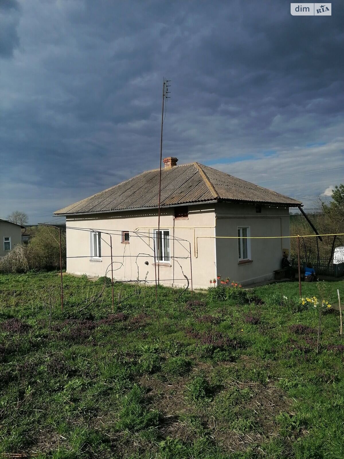 одноповерховий будинок, 65 кв. м, цегла. Продаж у Просівцях фото 1 одноповерховий будинок, 65 кв. м, цегла. Продаж у Просівцях фото 1
