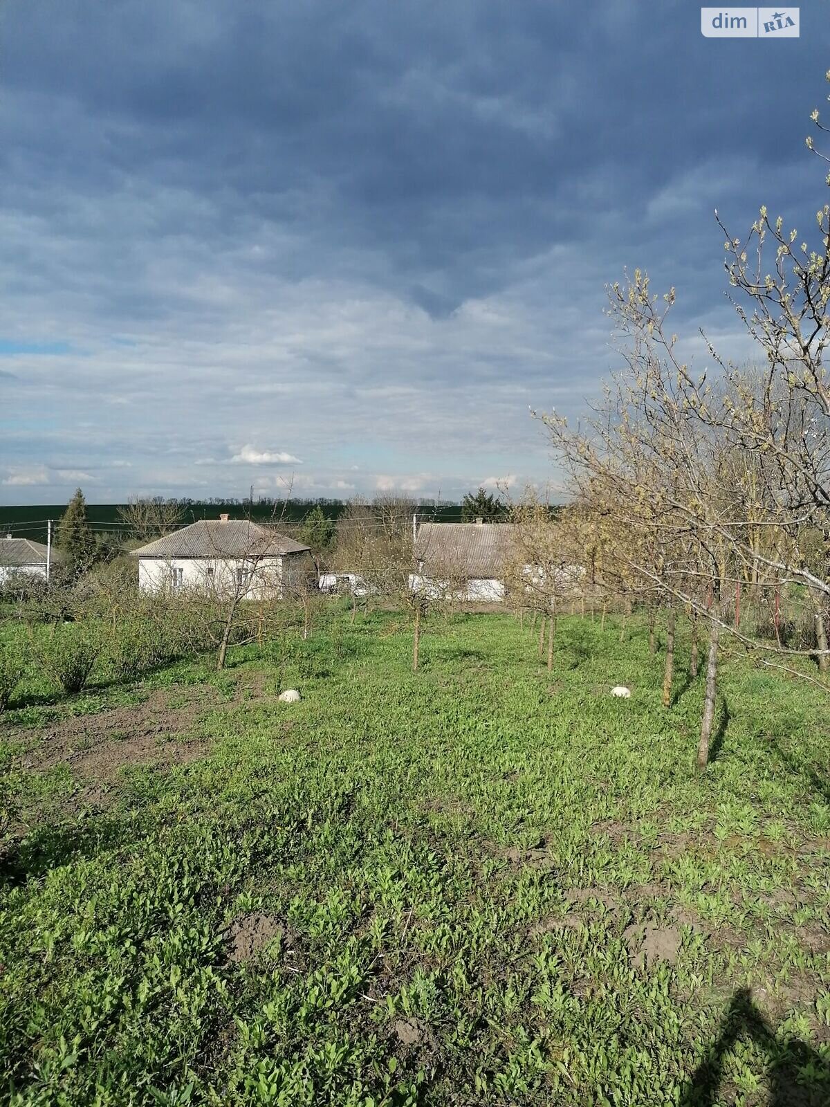 одноповерховий будинок, 65 кв. м, цегла. Продаж у Просівцях фото 1 одноповерховий будинок, 65 кв. м, цегла. Продаж у Просівцях фото 1