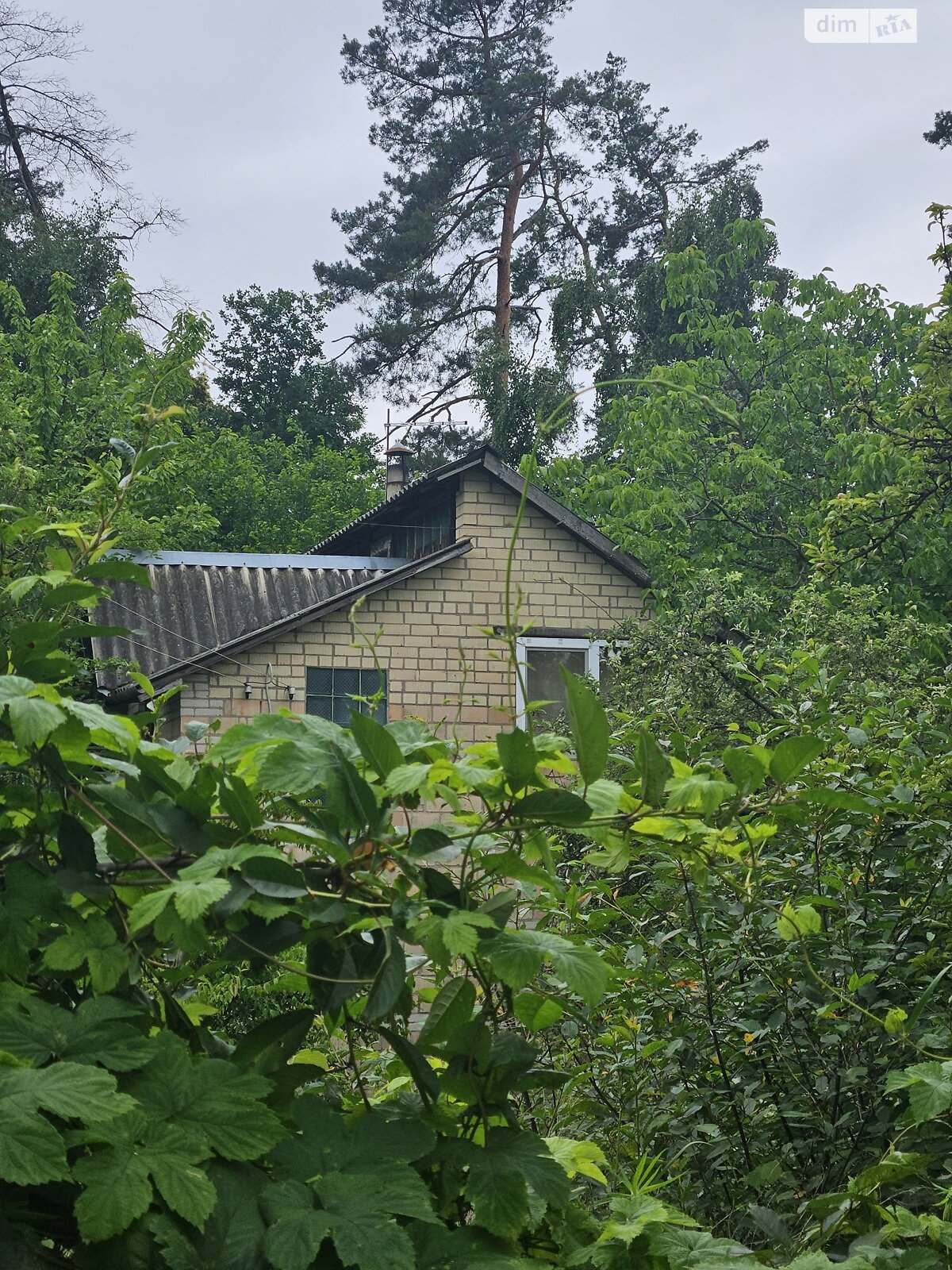 двоповерховий будинок, 150 кв. м, цегла. Продаж у Процеві фото 1