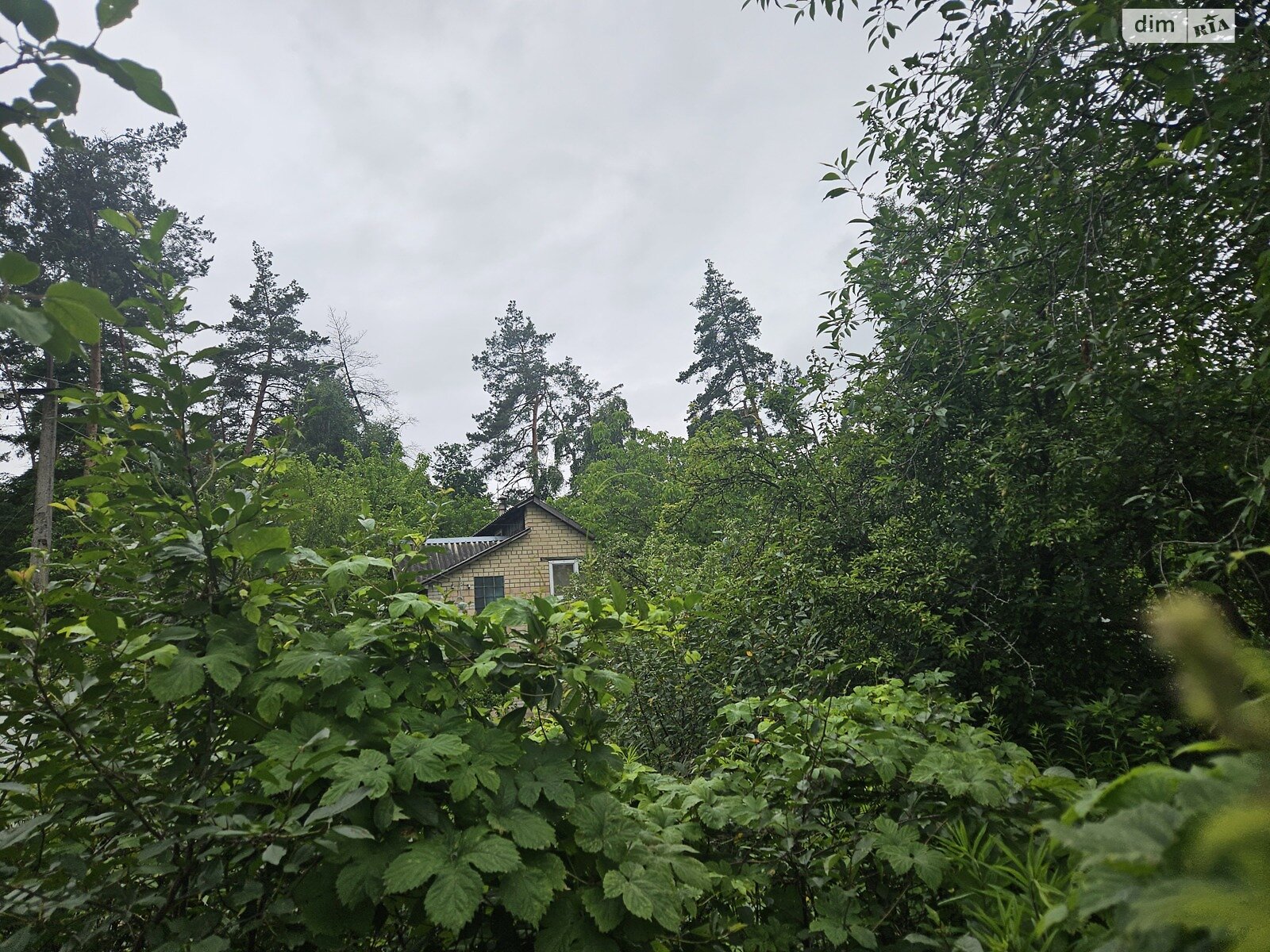 двоповерховий будинок, 150 кв. м, цегла. Продаж у Процеві фото 1