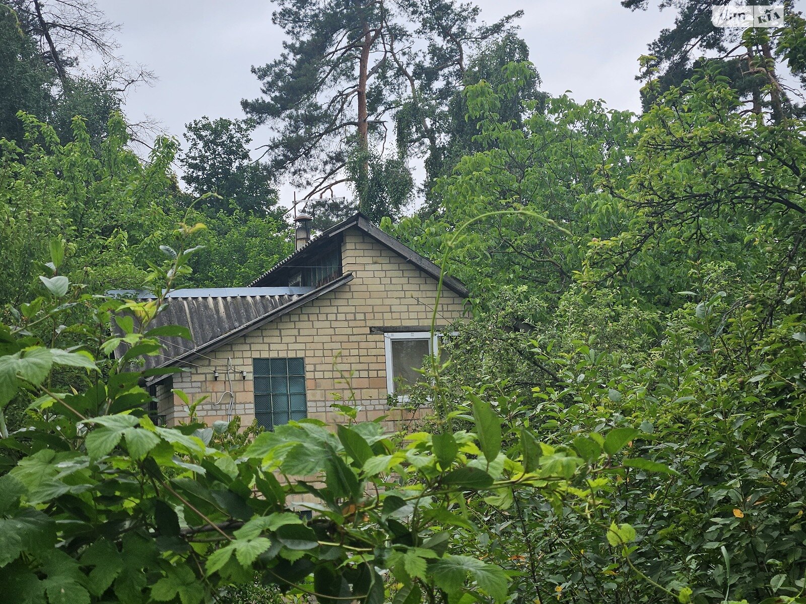 двоповерховий будинок, 150 кв. м, цегла. Продаж у Процеві фото 1