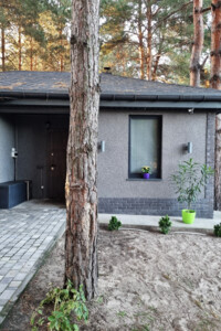 одноповерховий будинок з опаленням, 33.2 кв. м, газобетон. Продаж у Процеві фото 2