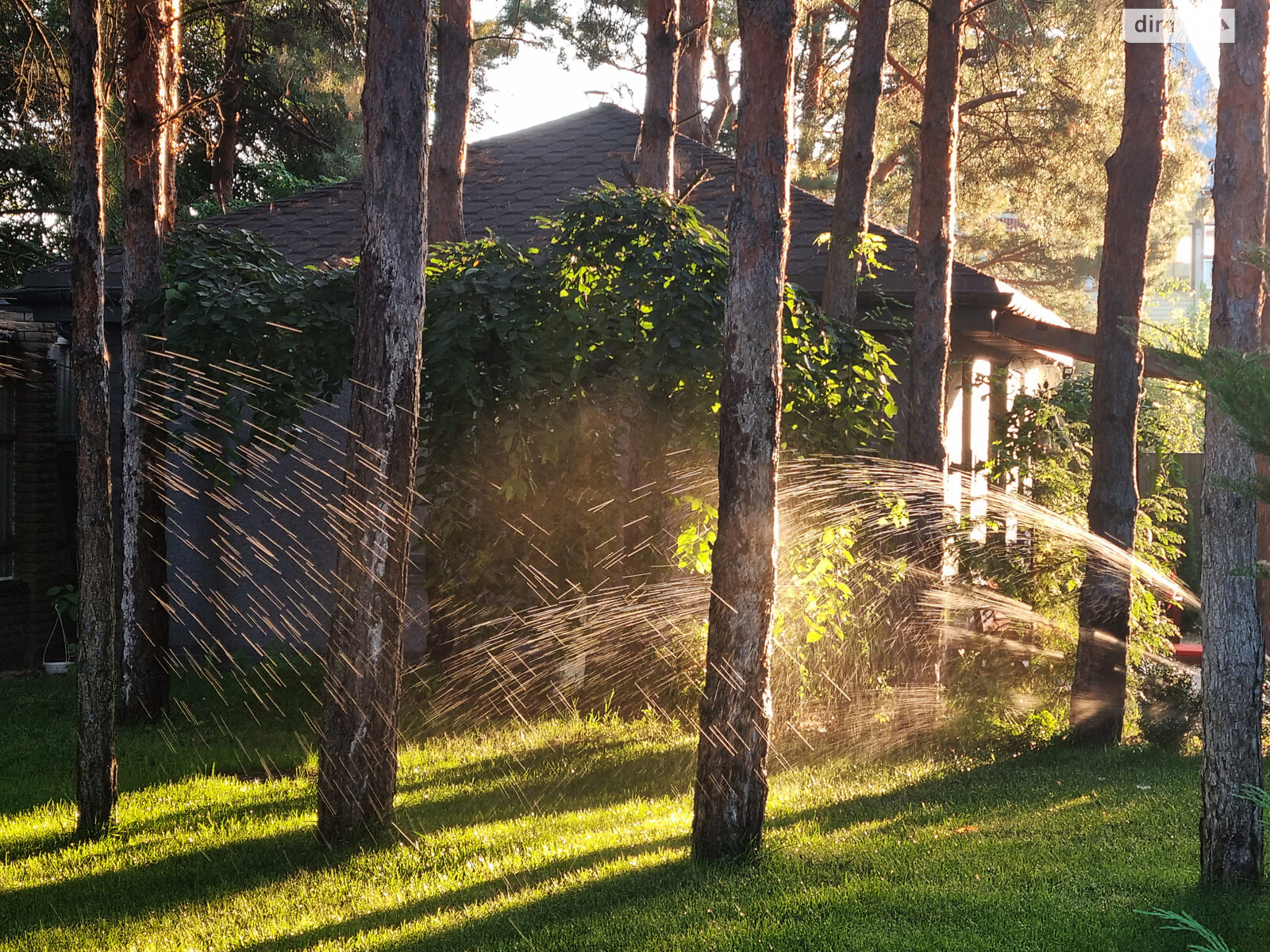 одноповерховий будинок з опаленням, 33.2 кв. м, газобетон. Продаж у Процеві фото 1