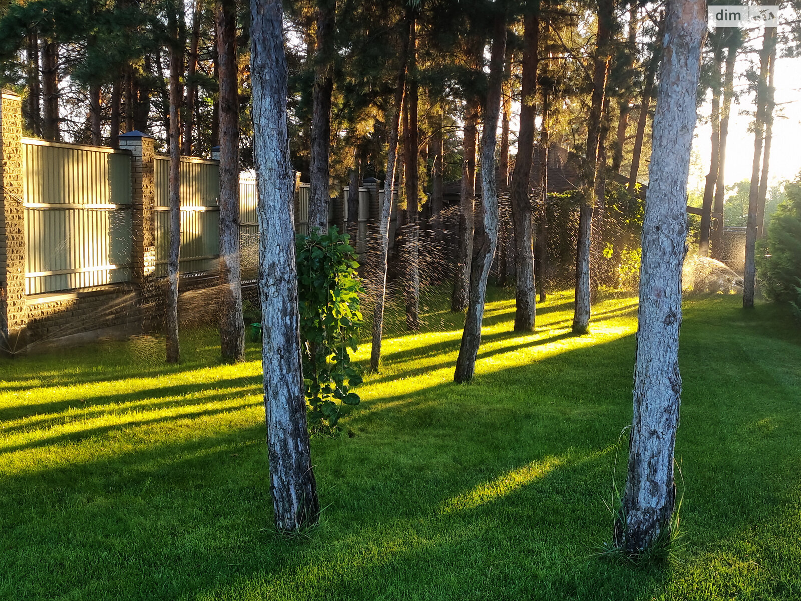 одноповерховий будинок з опаленням, 33.2 кв. м, газобетон. Продаж у Процеві фото 1