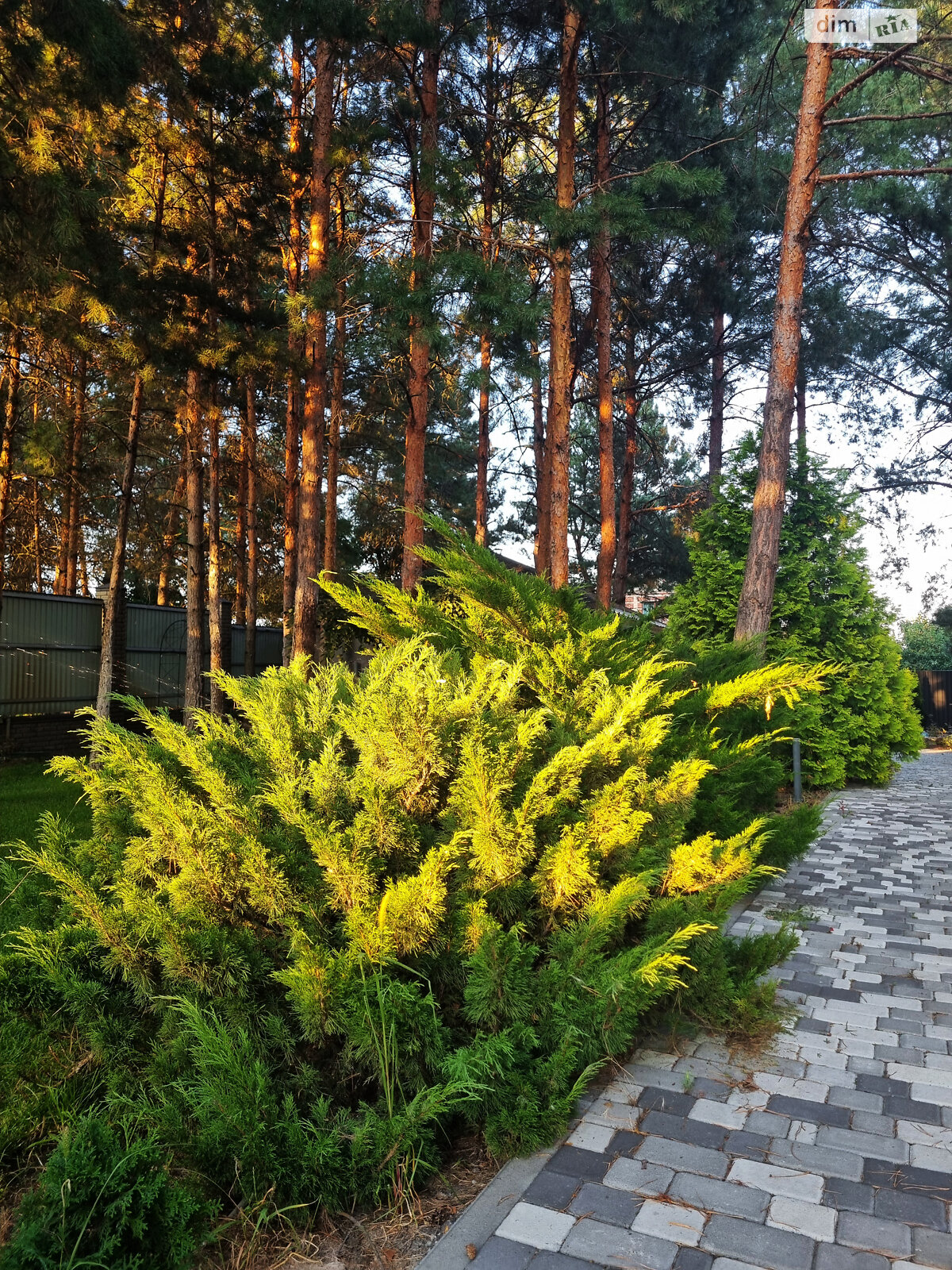 одноповерховий будинок з опаленням, 33.2 кв. м, газобетон. Продаж у Процеві фото 1