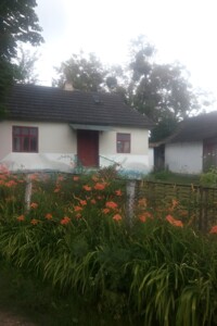 одноповерховий будинок з гаражем, 42 кв. м, цегла. Продаж у Пукові фото 2