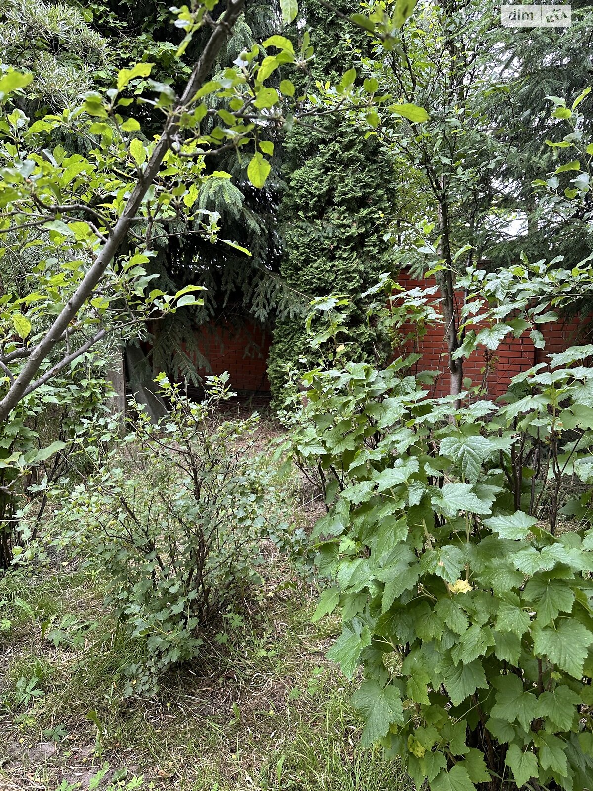 трехэтажный дом с верандой, 216.3 кв. м, кирпич. Продажа в Пустомытах район Пустомыты фото 1 трехэтажный дом с верандой, 216.3 кв. м, кирпич. Продажа в Пустомытах район Пустомыты фото 1