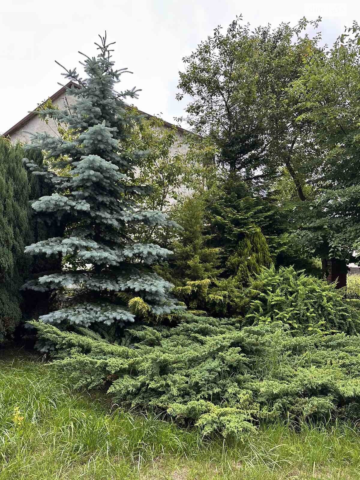 трехэтажный дом с гаражом, 216.3 кв. м, кирпич. Продажа в Пустомытах район Пустомыты фото 1 трехэтажный дом с гаражом, 216.3 кв. м, кирпич. Продажа в Пустомытах район Пустомыты фото 1
