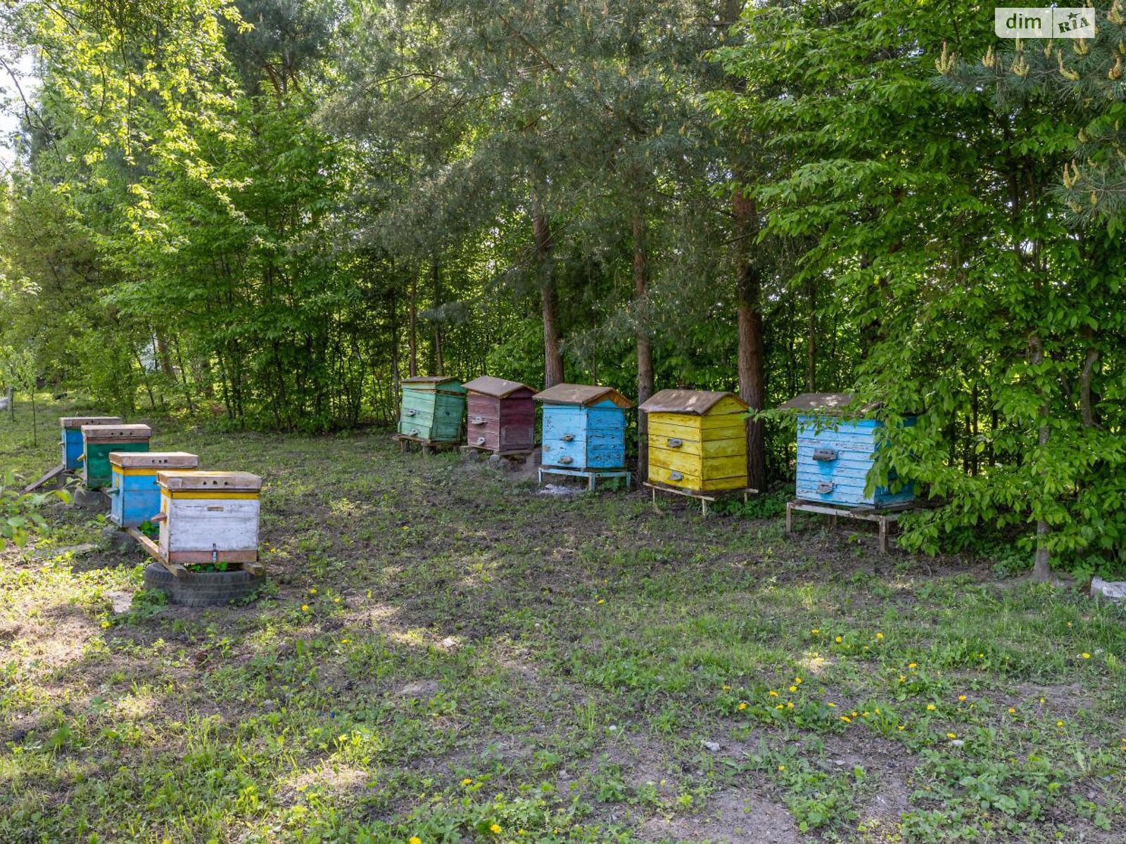 одноэтажный дом с верандой, 66.1 кв. м, кирпич. Продажа в Мостках фото 1 одноэтажный дом с верандой, 66.1 кв. м, кирпич. Продажа в Мостках фото 1