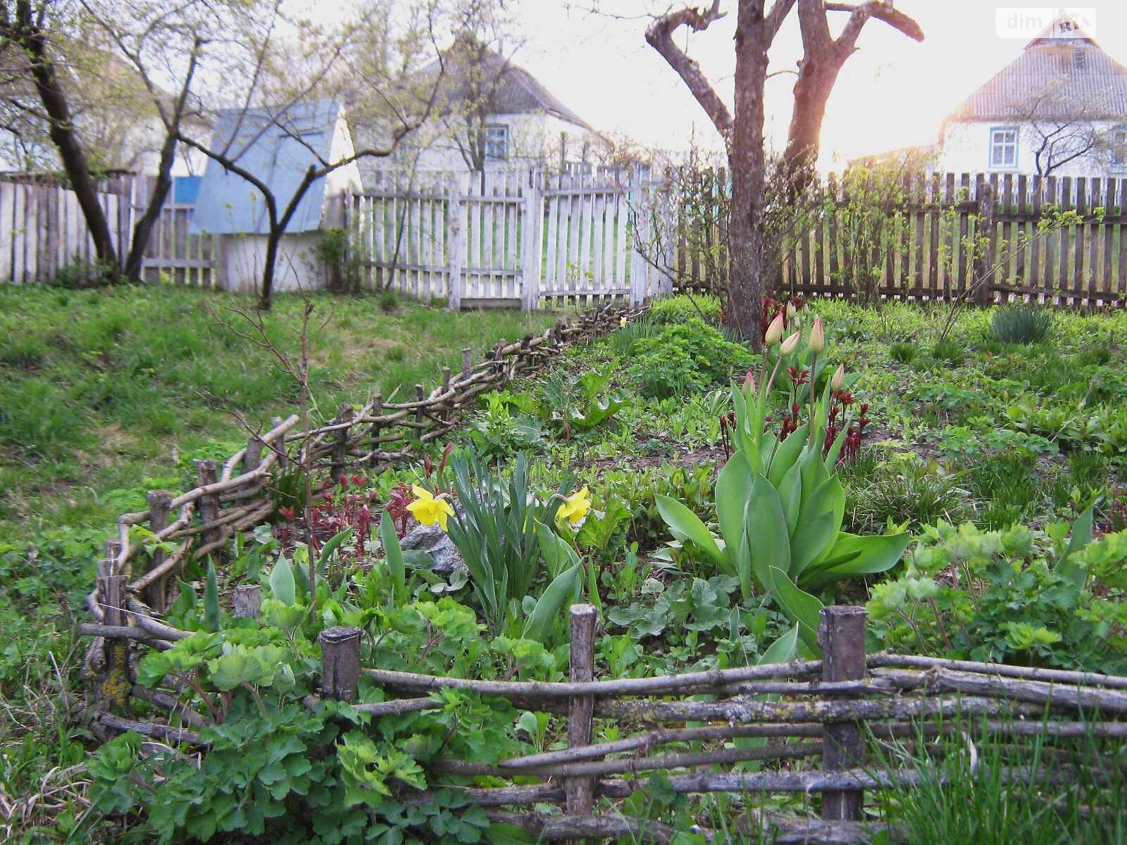 одноповерховий будинок з верандою, 51.9 кв. м, цегла. Продаж у Пустоварівці фото 1 одноповерховий будинок з верандою, 51.9 кв. м, цегла. Продаж у Пустоварівці фото 1
