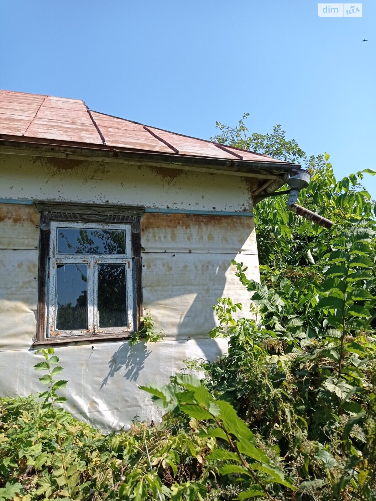 одноэтажный дом с верандой, 90 кв. м, кирпич саманный. Продажа в Пустоваровке фото 1 одноэтажный дом с верандой, 90 кв. м, кирпич саманный. Продажа в Пустоваровке фото 1