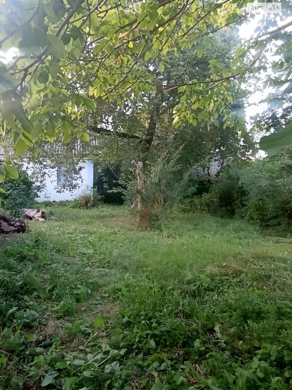 одноповерховий будинок, 60 кв. м, зруб. Продаж у Путринці фото 1 одноповерховий будинок, 60 кв. м, зруб. Продаж у Путринці фото 1