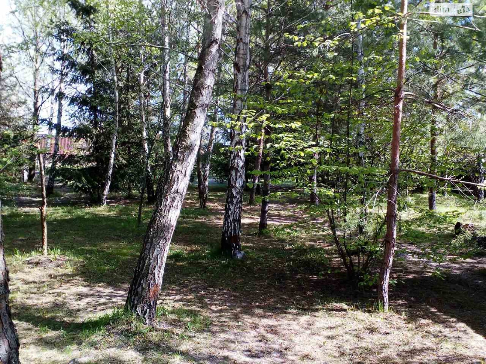двоповерховий будинок з гаражем, 294.4 кв. м, цегла. Продаж у Путрівці фото 1 двоповерховий будинок з гаражем, 294.4 кв. м, цегла. Продаж у Путрівці фото 1