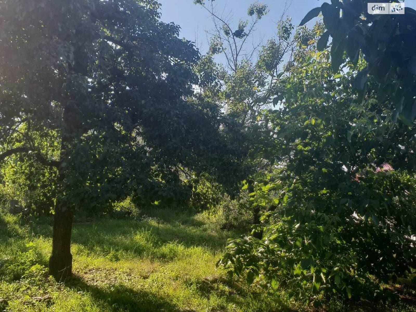 одноповерховий будинок з верандою, 68.7 кв. м, цегла. Продаж в Путрівці фото 1