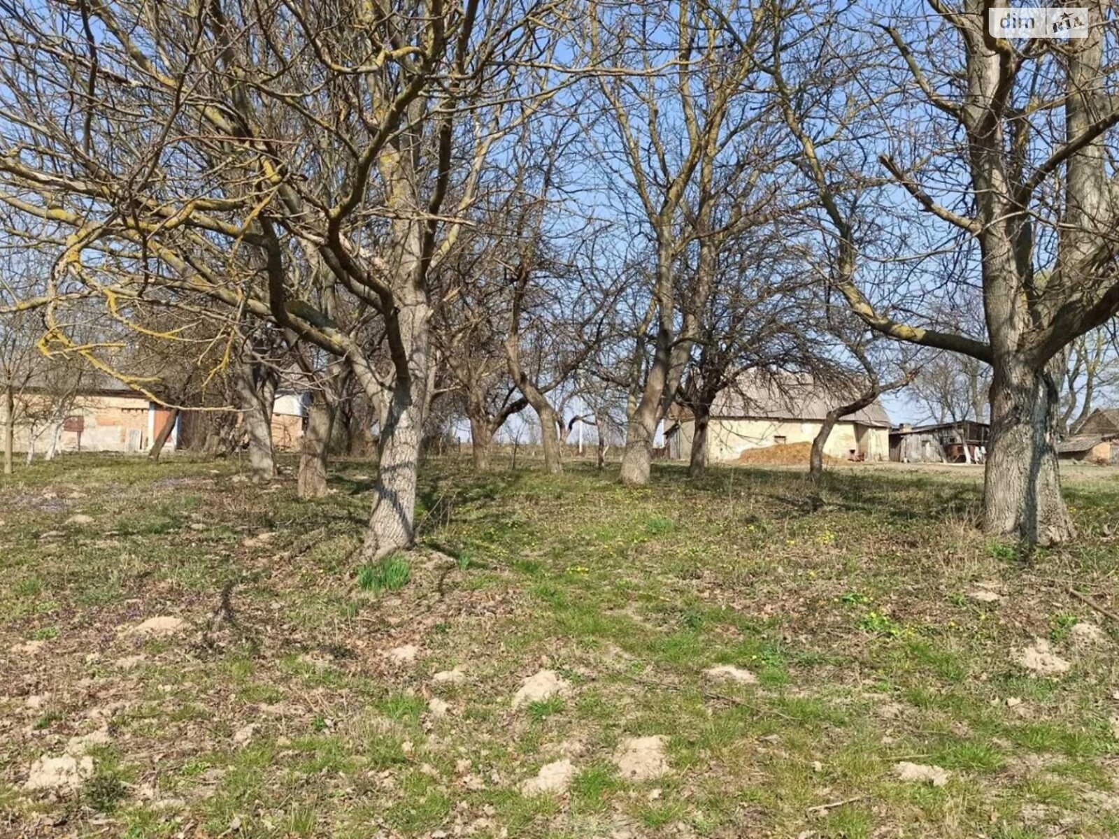 одноповерховий будинок, 88 кв. м, цегла. Продаж у П’ятигорах фото 1 одноповерховий будинок, 88 кв. м, цегла. Продаж у П’ятигорах фото 1