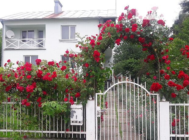 двухэтажный дом с камином, 230 кв. м, кирпич. Продажа в Опарипсах (Ровенская обл.) фото 1 двухэтажный дом с камином, 230 кв. м, кирпич. Продажа в Опарипсах (Ровенская обл.) фото 1