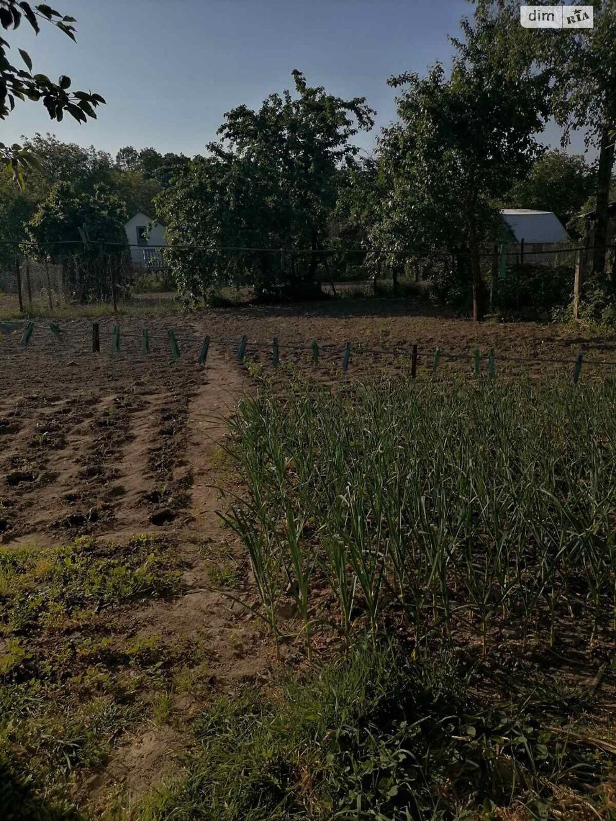 одноэтажный дом, 71 кв. м, дерево и кирпич. Продажа в Радомышле фото 1 одноэтажный дом, 71 кв. м, дерево и кирпич. Продажа в Радомышле фото 1