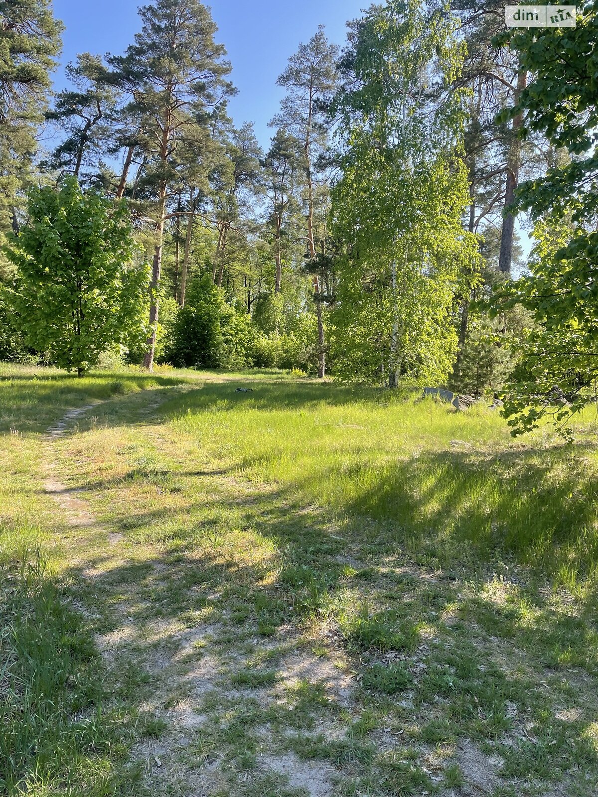 одноповерховий будинок з гаражем, 67 кв. м, цегла. Продаж в Радомишлі, район Радомишль фото 1 одноповерховий будинок з гаражем, 67 кв. м, цегла. Продаж в Радомишлі, район Радомишль фото 1