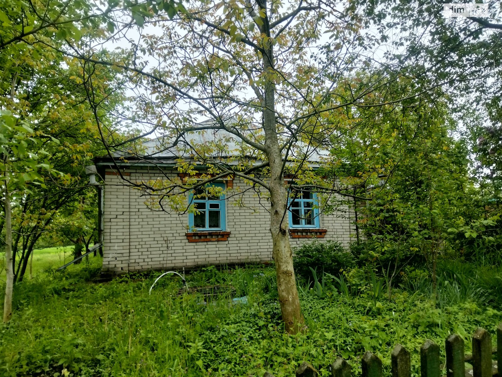 одноповерховий будинок з верандою, 70 кв. м, цегла. Продаж у Радівцях фото 1 одноповерховий будинок з верандою, 70 кв. м, цегла. Продаж у Радівцях фото 1