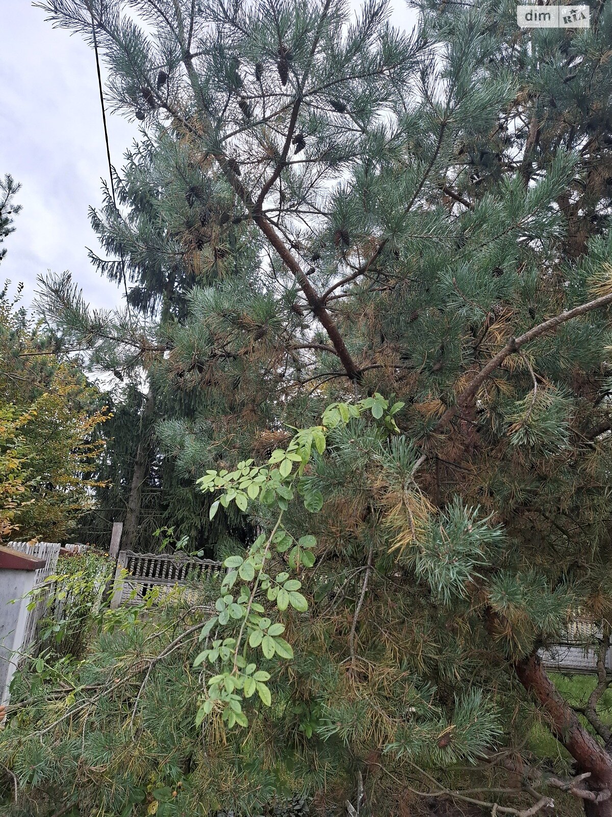 двухэтажный дом беседка, 244.4 кв. м, кирпич. Продажа в Радванцах фото 1