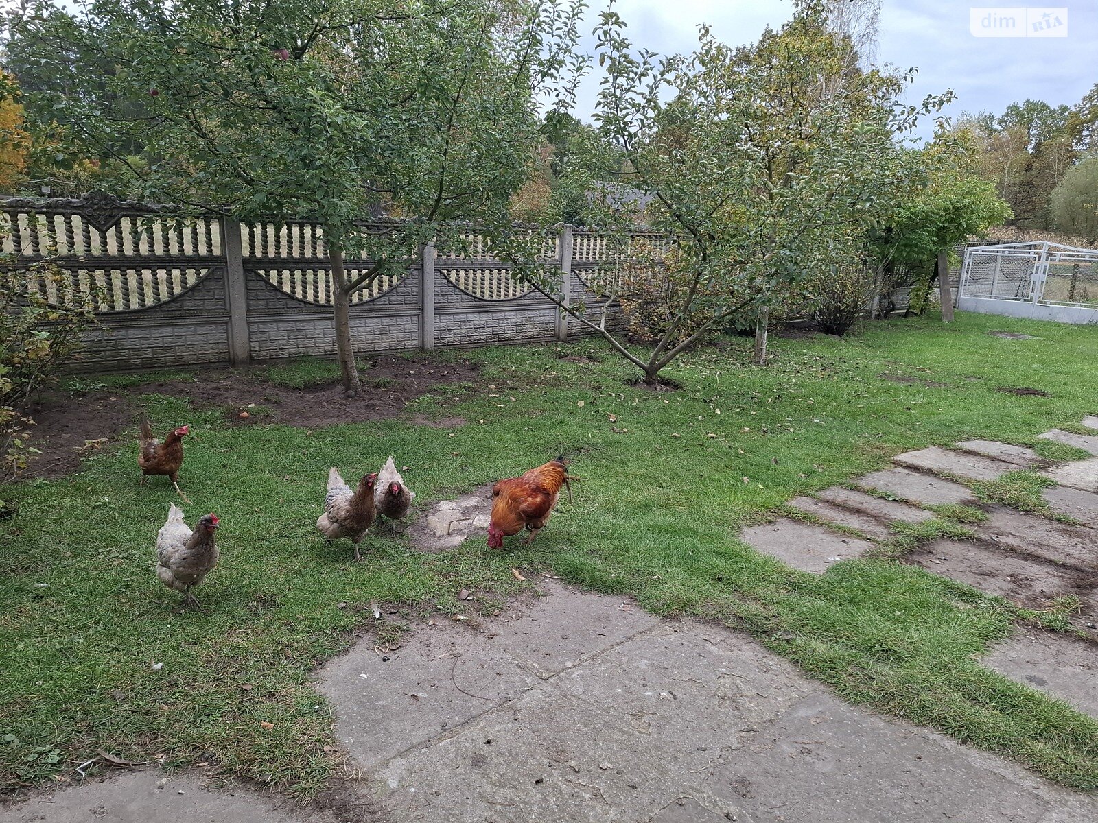 двухэтажный дом беседка, 244.4 кв. м, кирпич. Продажа в Радванцах фото 1