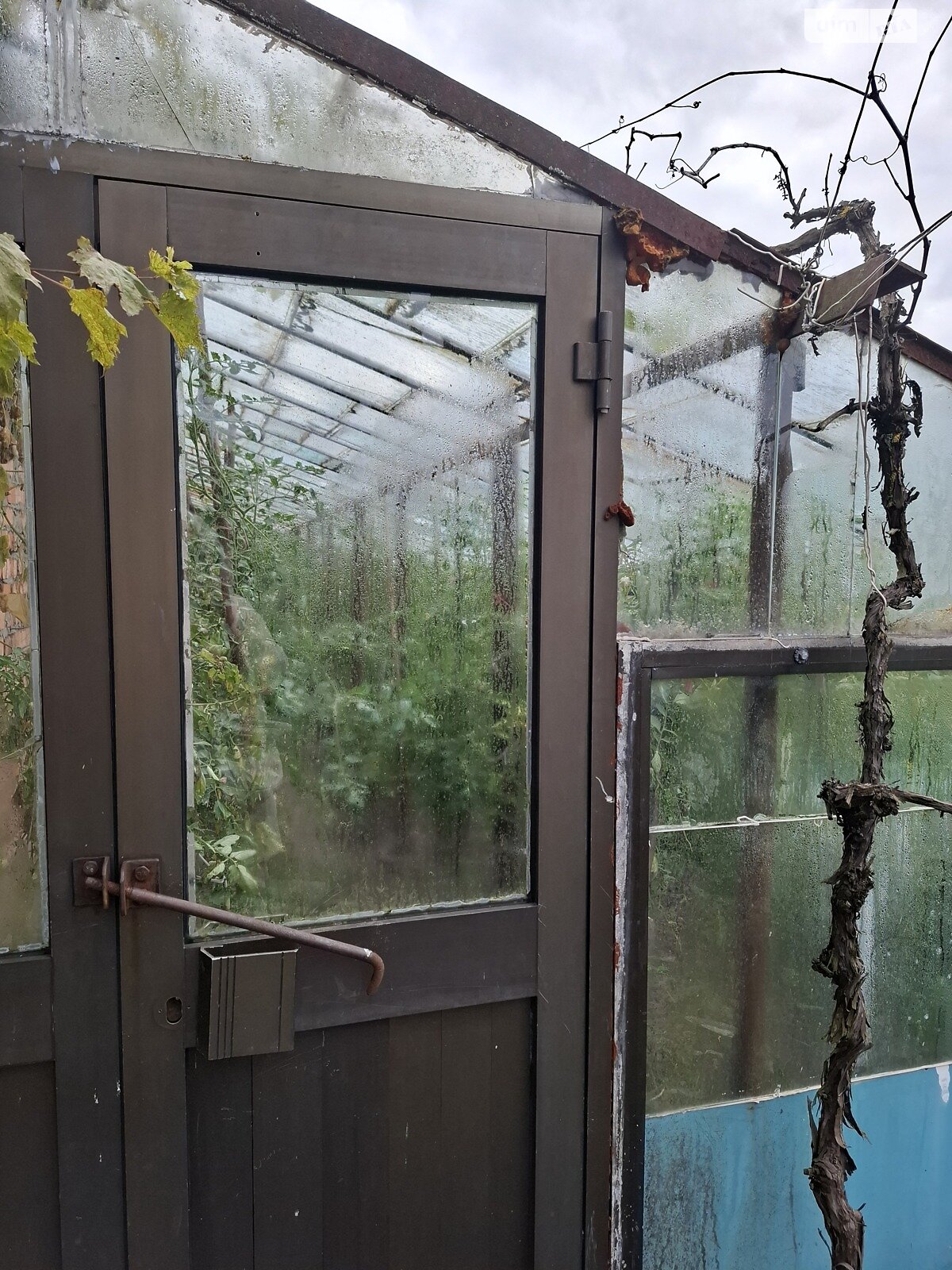 двухэтажный дом беседка, 244.4 кв. м, кирпич. Продажа в Радванцах фото 1