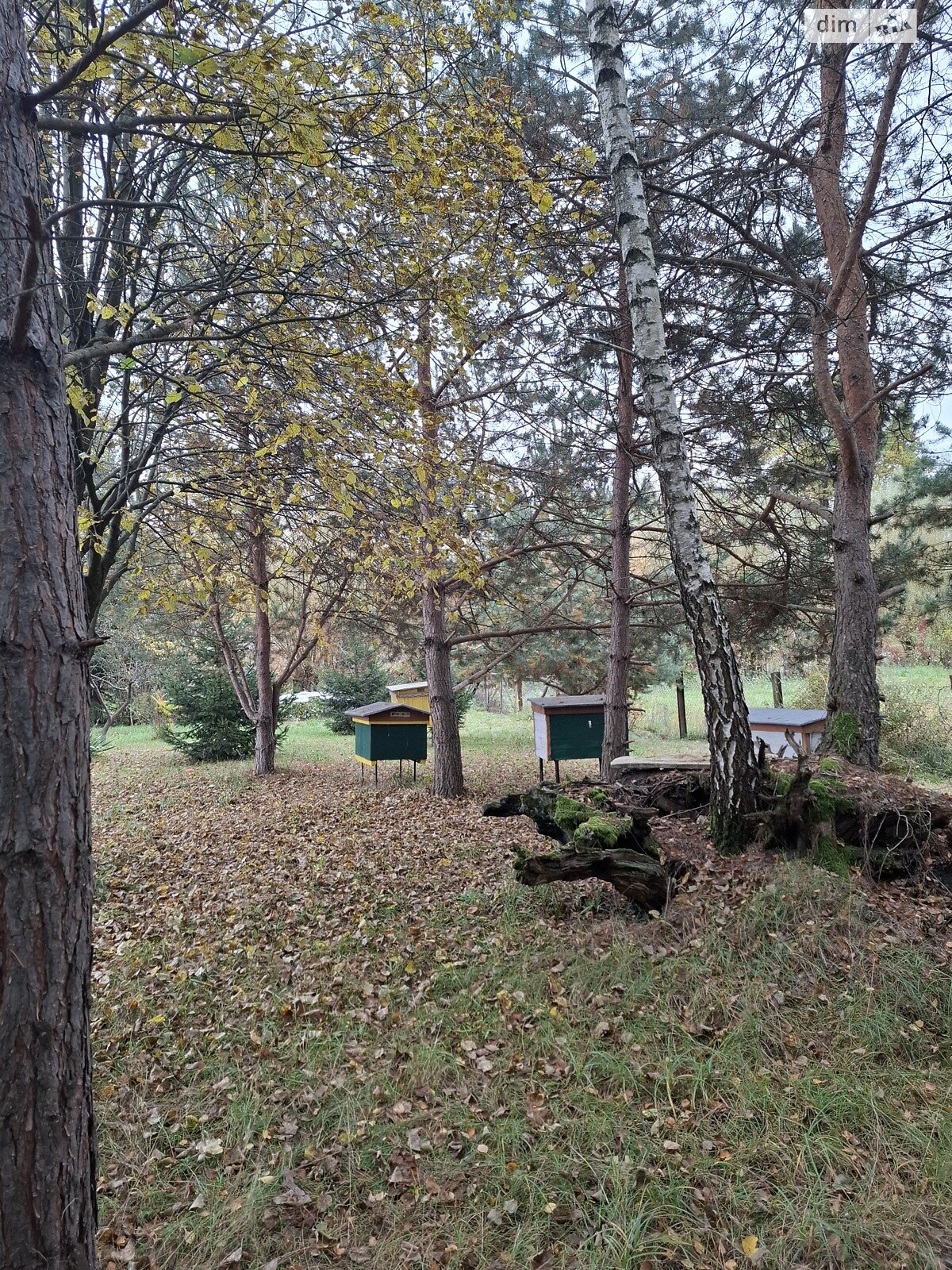 двухэтажный дом беседка, 244.4 кв. м, кирпич. Продажа в Радванцах фото 1