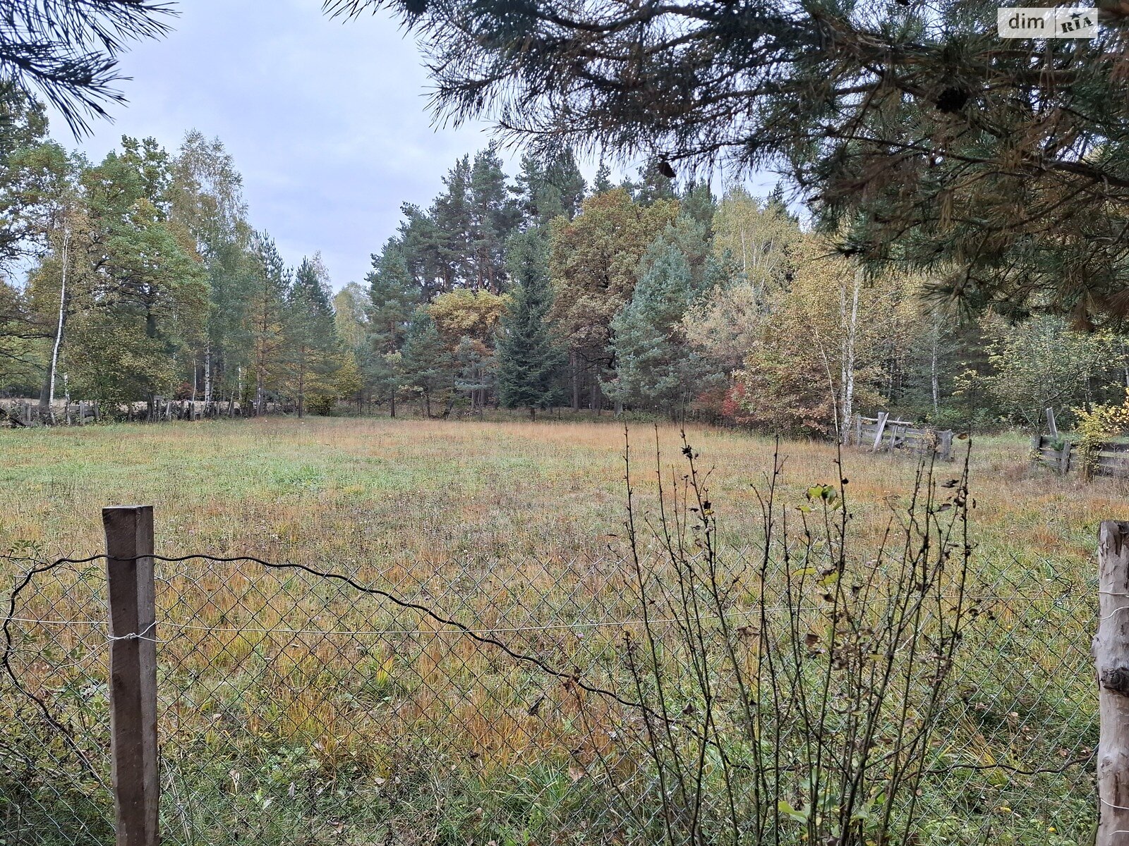 двухэтажный дом беседка, 244.4 кв. м, кирпич. Продажа в Радванцах фото 1