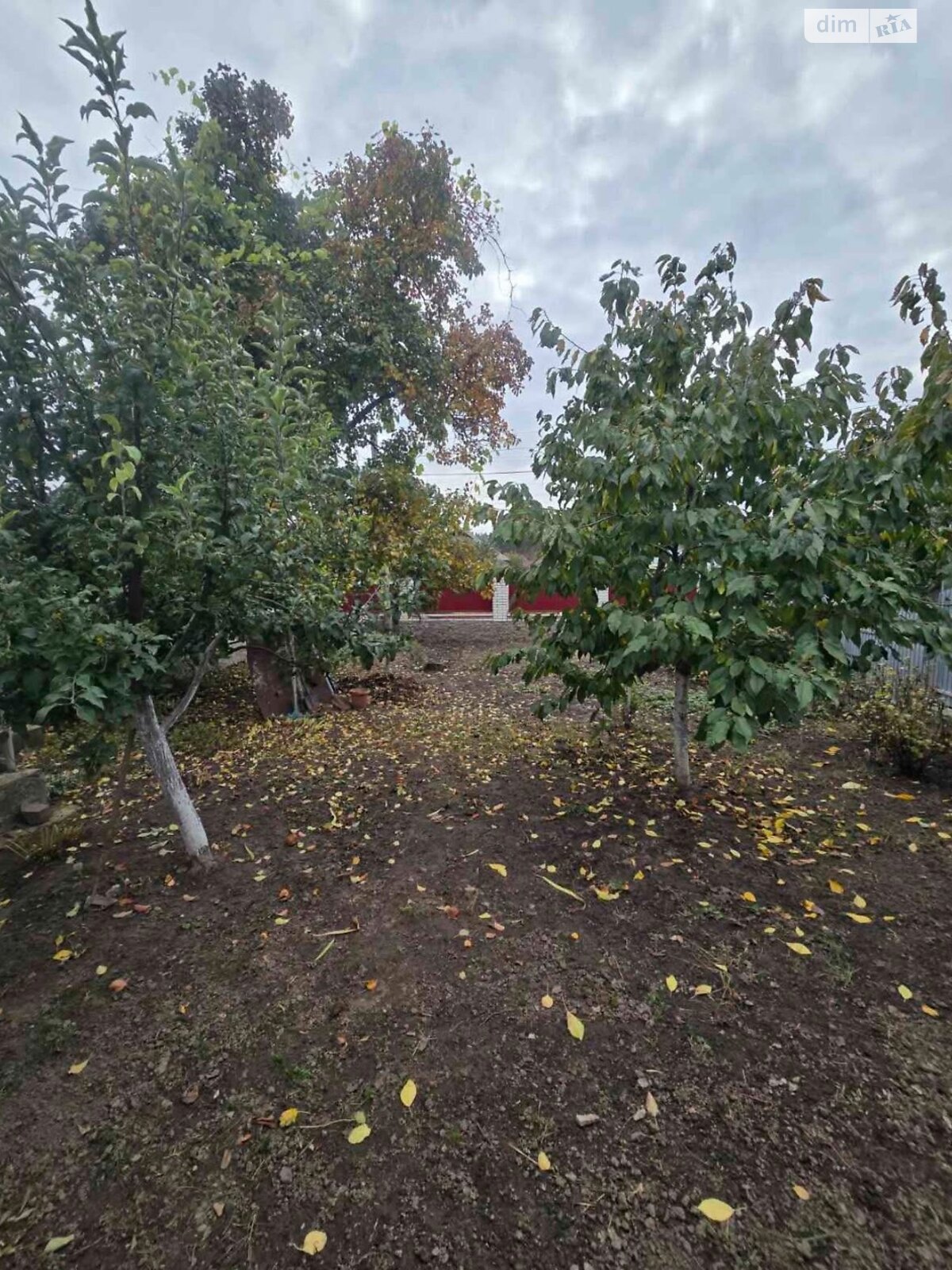 одноповерховий будинок з гаражем, 104.1 кв. м, цегла. Продаж у Рокитному фото 1