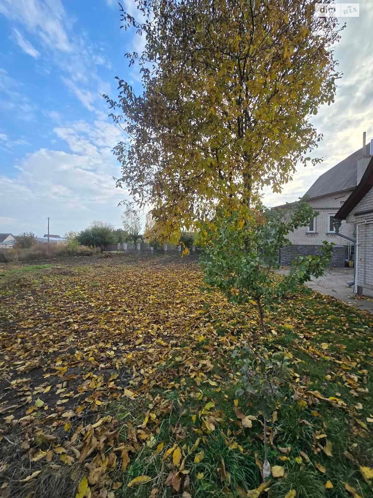 одноповерховий будинок, 108.4 кв. м, цегла. Продаж у Рокитному фото 1 одноповерховий будинок, 108.4 кв. м, цегла. Продаж у Рокитному фото 1