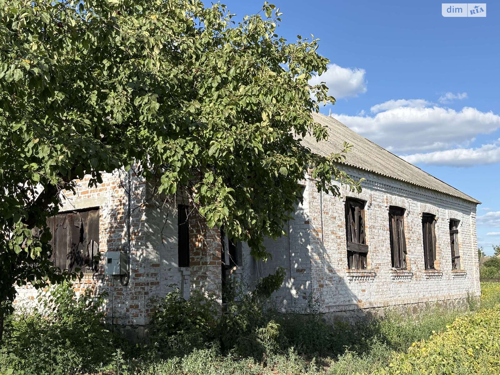 одноповерховий будинок, 110 кв. м, цегла. Продаж в Рокитному, район Рокитне фото 1