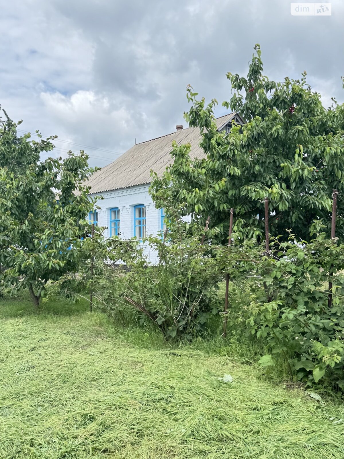 одноповерховий будинок з верандою, 80 кв. м, цегла. Продаж в Рокитному, район Рокитне фото 1 одноповерховий будинок з верандою, 80 кв. м, цегла. Продаж в Рокитному, район Рокитне фото 1