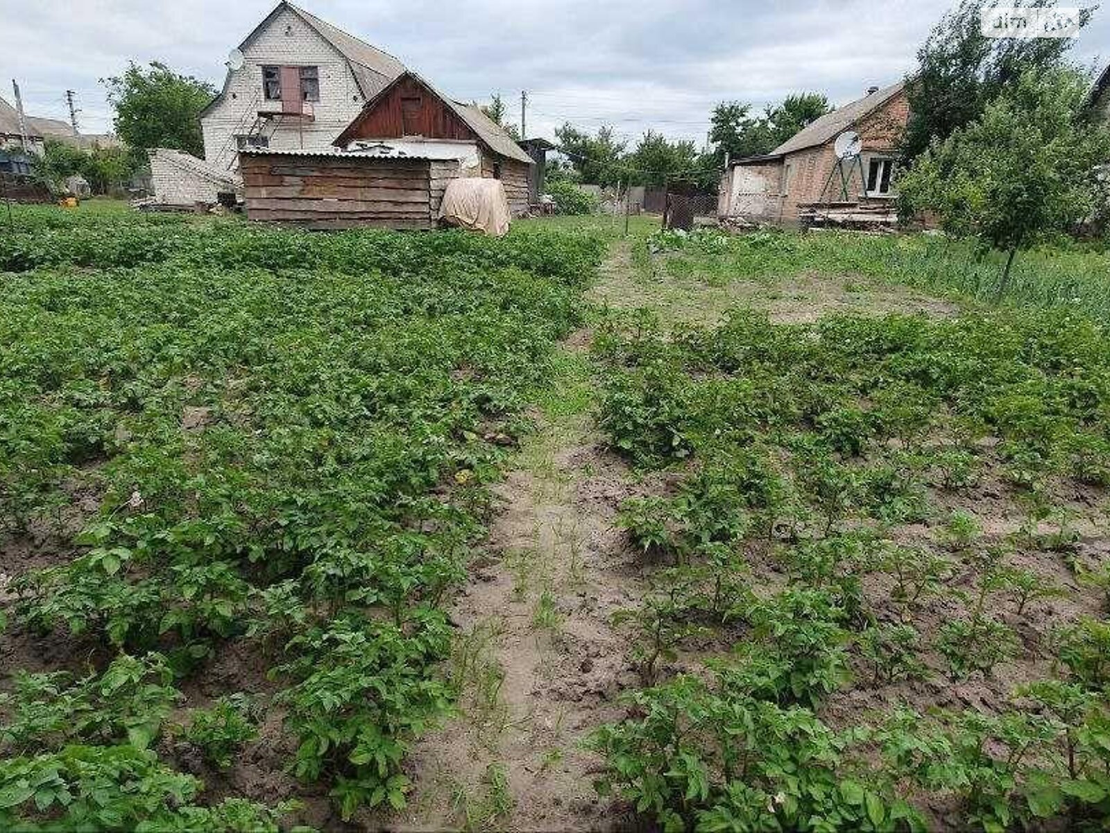 одноповерховий будинок, 68 кв. м, кирпич. Продаж в Рокитному, район Рокитне фото 1 одноповерховий будинок, 68 кв. м, кирпич. Продаж в Рокитному, район Рокитне фото 1