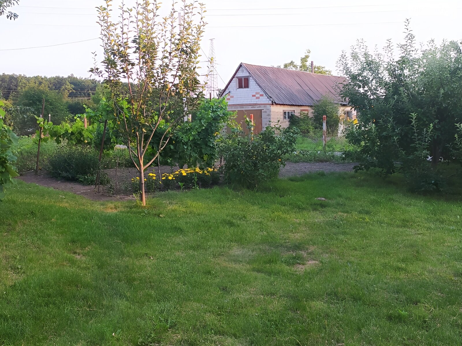 одноповерховий будинок, 70.2 кв. м, цегла. Продаж у Розсошенці фото 1 одноповерховий будинок, 70.2 кв. м, цегла. Продаж у Розсошенці фото 1
