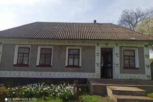 одноповерховий будинок, 43.4 кв. м, цегла. Продаж у Райківцях фото 2