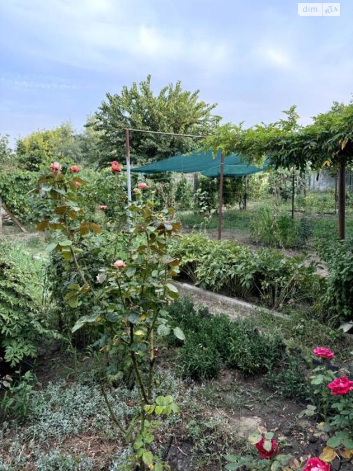 одноэтажный дом с гаражом, 165 кв. м, кирпич. Продажа в Рени фото 1 одноэтажный дом с гаражом, 165 кв. м, кирпич. Продажа в Рени фото 1
