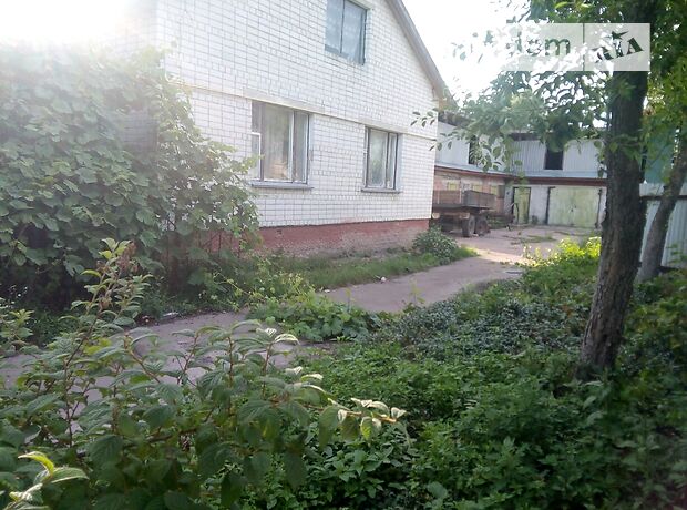 одноэтажный дом с садом, 100 кв. м, кирпич. Продажа в Вербичи (Черниговская обл.) фото 1 одноэтажный дом с садом, 100 кв. м, кирпич. Продажа в Вербичи (Черниговская обл.) фото 1