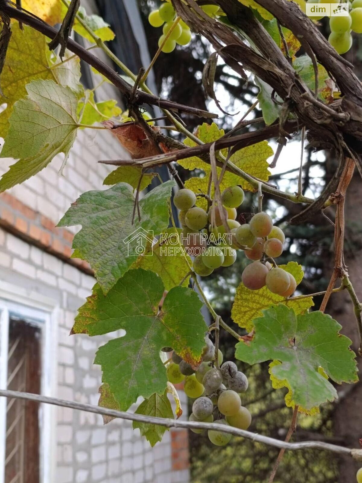 двухэтажный дом, 47 кв. м, кирпич. Продажа в Ржавце фото 1