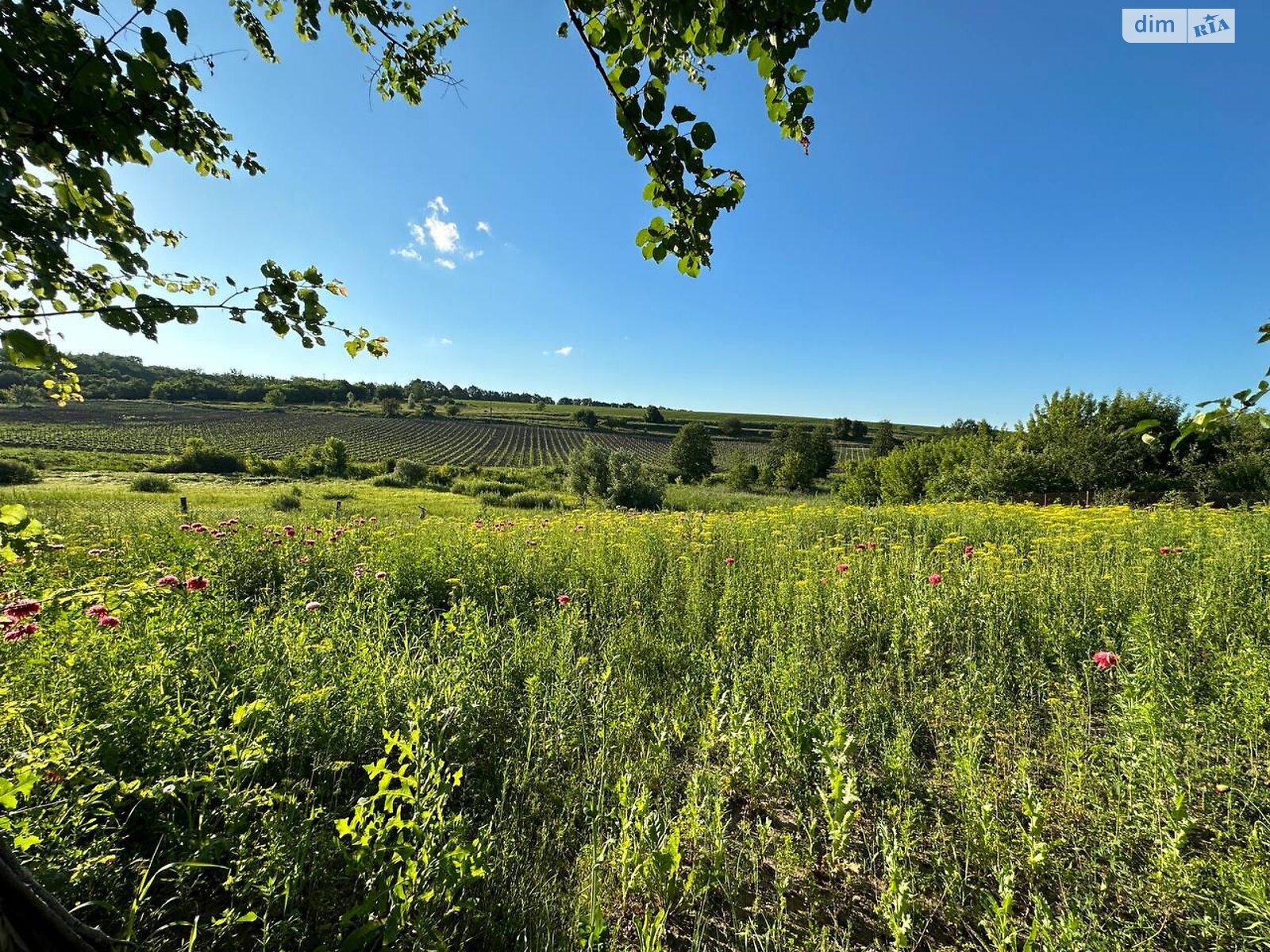 одноэтажный дом с гаражом, 73.1 кв. м, кирпич. Продажа в Ржищеве фото 1