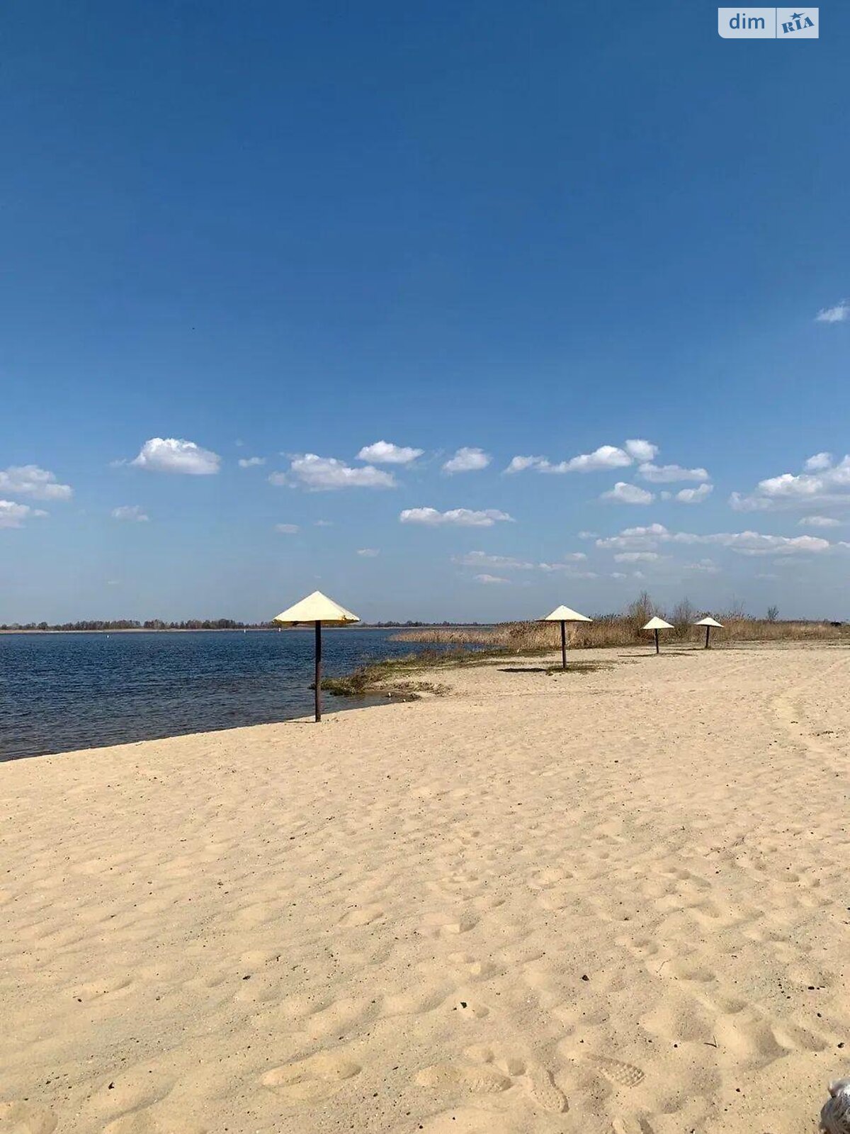 одноэтажный дом, 55 кв. м, кирпич. Продажа в Ржищеве фото 1 одноэтажный дом, 55 кв. м, кирпич. Продажа в Ржищеве фото 1