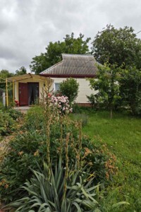 одноповерховий будинок з верандою, 50 кв. м, дерево та цегла. Продаж у Ржищеві фото 2
