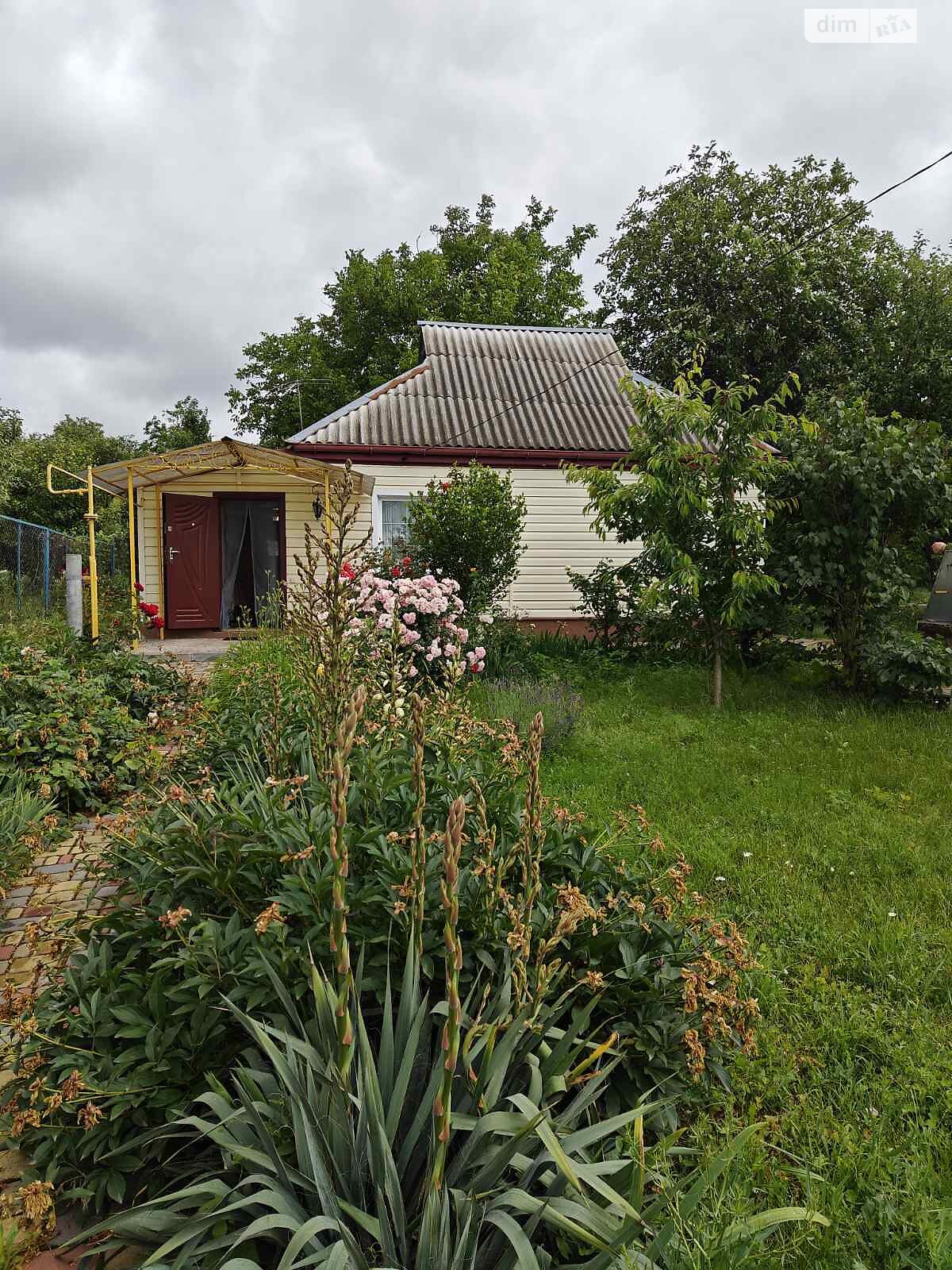 одноповерховий будинок з верандою, 50 кв. м, дерево та цегла. Продаж у Ржищеві фото 1 одноповерховий будинок з верандою, 50 кв. м, дерево та цегла. Продаж у Ржищеві фото 1