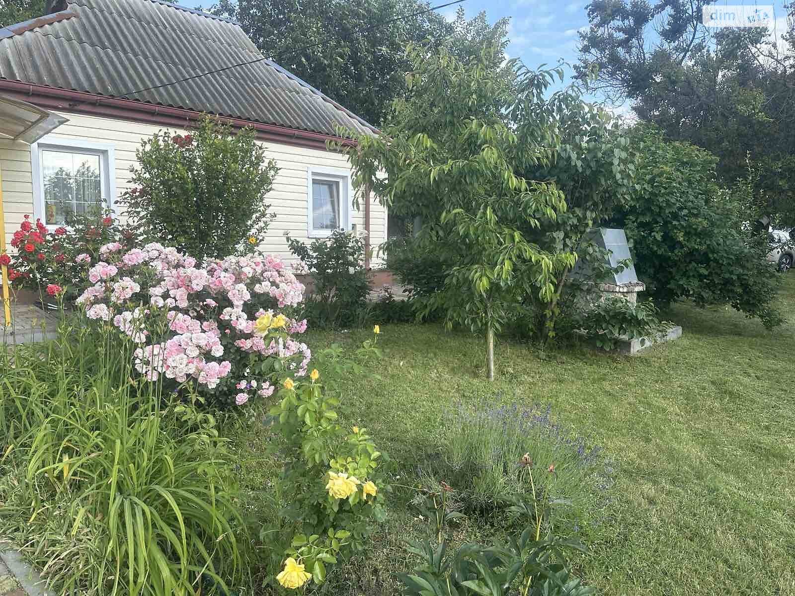 одноповерховий будинок з верандою, 50 кв. м, дерево та цегла. Продаж у Ржищеві фото 1 одноповерховий будинок з верандою, 50 кв. м, дерево та цегла. Продаж у Ржищеві фото 1